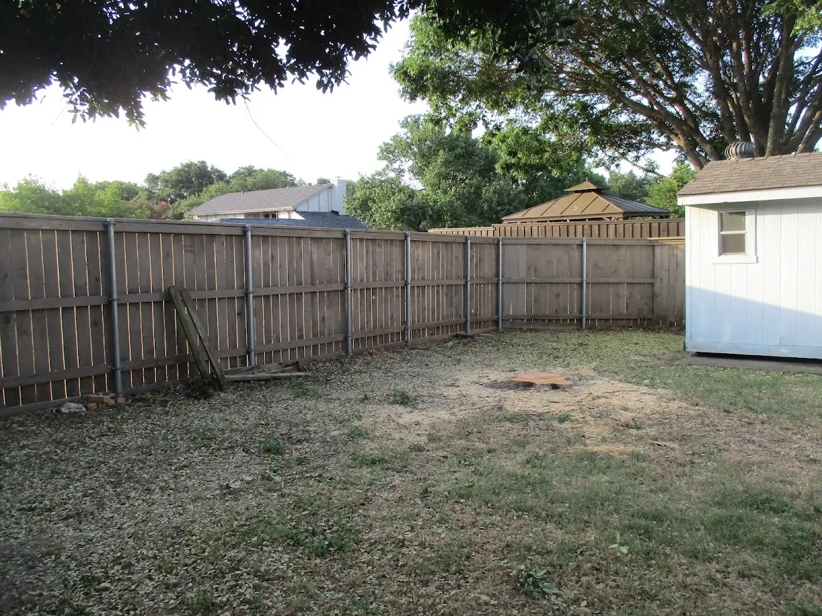 Cleared yard after professional tree removal in Mercer