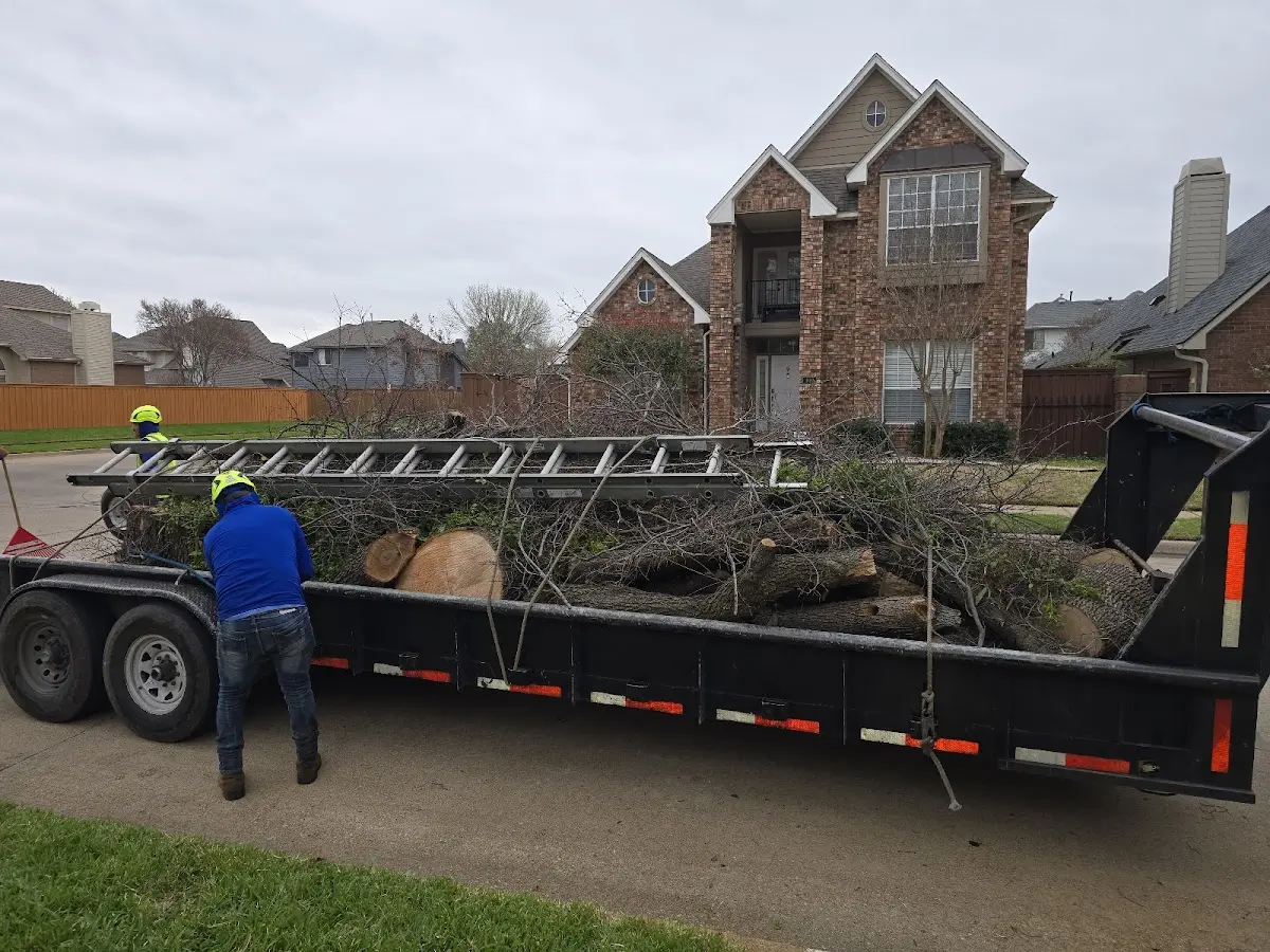 Expert Tree Fertilization with proper safety equipment in Mercer